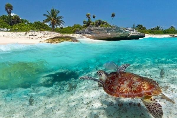 Leilighetshoteller Kuwa Zanzibar Kiwengwa (Zanzibar)